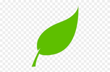 Leaf Vector Png - Tree Leaves Vector Png