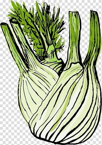 Leaf vegetable Autumn Summer, fig carrot transparent background PNG clipart