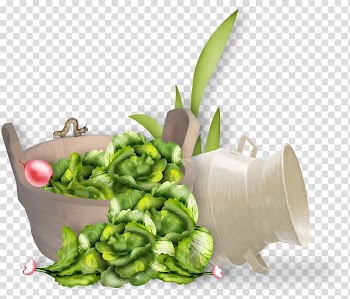 Leaf vegetable Cauliflower Food , Vegetables material transparent background PNG clipart