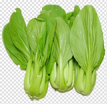 Leaf vegetable Cruciferous vegetables Collard greens Food, bok choy transparent background PNG clipart