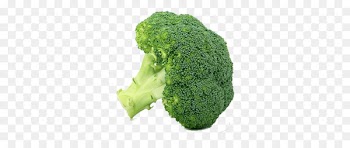 Leaf vegetable Food Broccoli Winter vegetable - vegetable 