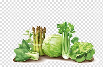 Leaf vegetable Fruit Bioline Laboratory, Vegetable illustration transparent background PNG clipart