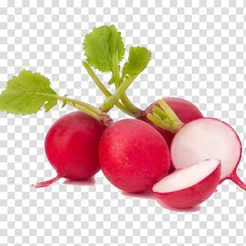 Leaf vegetable Garden radish Organic food, vegetable transparent background PNG clipart