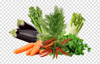 Leaf vegetable Germination Food Herb, vegetable transparent background PNG clipart