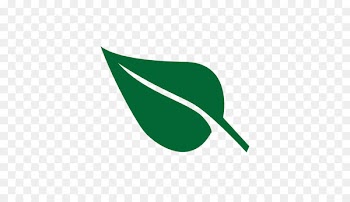 Leaf vegetable Green Clip art - folha 
