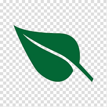 Leaf vegetable Green , folha transparent background PNG clipart