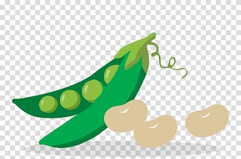 Leaf vegetable Juice Fruit, vegetable transparent background PNG clipart