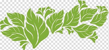 Leaf vegetable Plant stem Science , MOTIF transparent background PNG clipart