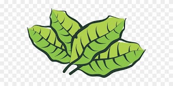 Leaf, Vegetable, Plantation, Plants - Leaf