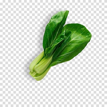 Leaf vegetable Salad Food, vegetable transparent background PNG clipart