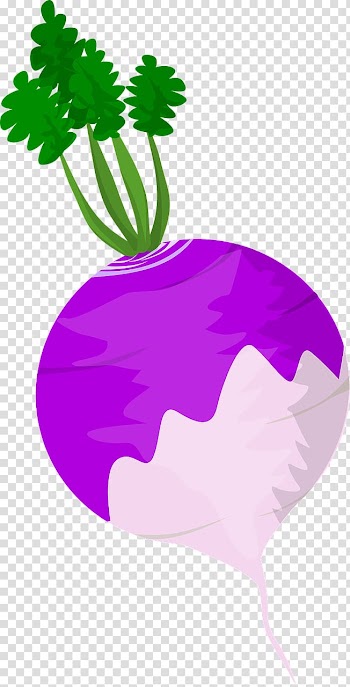 Leaf vegetable Turnip Root Vegetables, beet transparent background PNG clipart