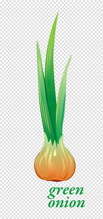 Leaf vegetable, Vegetable Leaves transparent background PNG clipart
