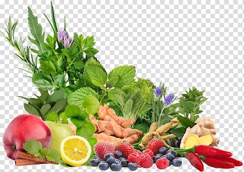 Leaf vegetable Vegetarian cuisine Recipe Food, vegetable transparent background PNG clipart