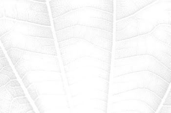 Leaf vein macro shot background | Free  illustration - 2348266