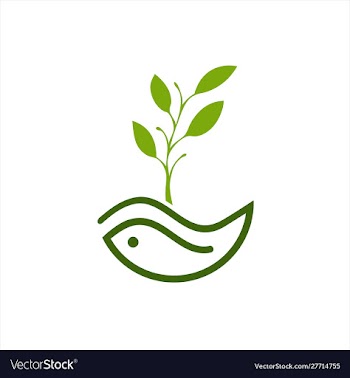 Leaf water flow logo template vector image