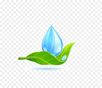 Leaf Water Logo Drop - Water droplets green leaf 