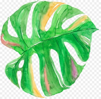 Leaf Watercolor painting Canvas - Watercolor palm leaf 