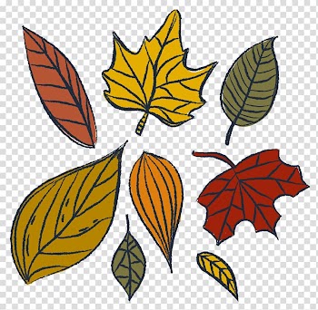 Leaf Watercolor painting Drawing, Drawing autumn leaves transparent background PNG clipart