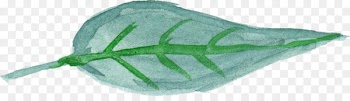 Leaf Watercolor painting Green - Leaf 