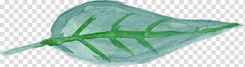 Leaf Watercolor painting Green, Leaf transparent background PNG clipart