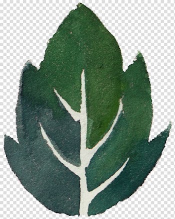 Leaf Watercolor painting Green, Leaves falling leaves element element transparent background PNG clipart