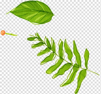 Leaf Watercolor painting, Hand-painted grass transparent background PNG clipart
