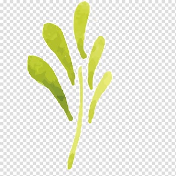 Leaf Watercolor painting Oil painting, Hand-painted flowers,Beautiful,watercolor,Oil painting effect,Flowers,Leaves transparent background PNG clipart