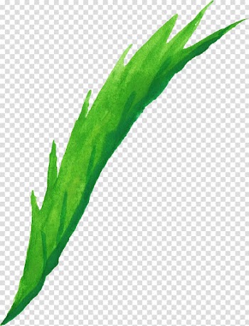 Leaf Watercolor painting Plant stem, watercolor leaves transparent background PNG clipart