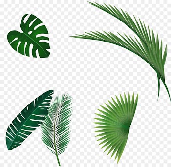 Leaf Watercolor painting - Vector hand-painted leaves 