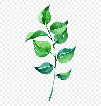 Leaf Watercolor Painting - Watercolor Green Leaf Png