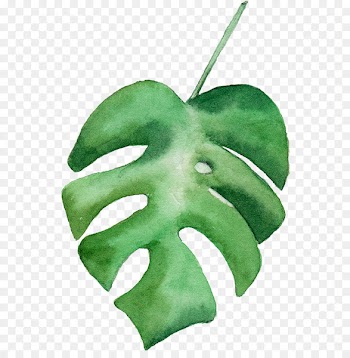 Leaf Watercolor painting - Watercolor leaves 