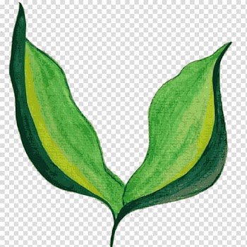 Leaf Watercolor painting, watercolor leaves transparent background PNG clipart