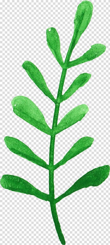 Leaf Watercolor painting Wreath Plant stem, WATERCOLOR LEAF transparent background PNG clipart