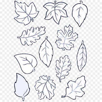 leaf white line art plant black-and-white