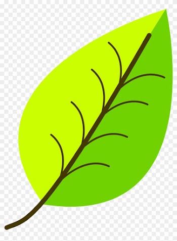 Leaf- With Venation, Two Color - Leaf Clipart Png