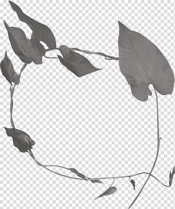 Leaf Wreath Black and white, Elf leaves wreath transparent background PNG clipart
