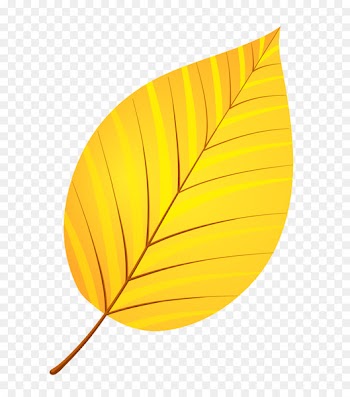 Leaf Yellow Autumn Leaves Petal - leaves 