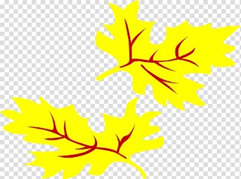 Leaf Yellow Autumn , Sunflower Graphics transparent background PNG clipart