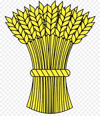 leaf yellow clip art plant plant stem