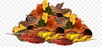 leaf yellow flower plant tree