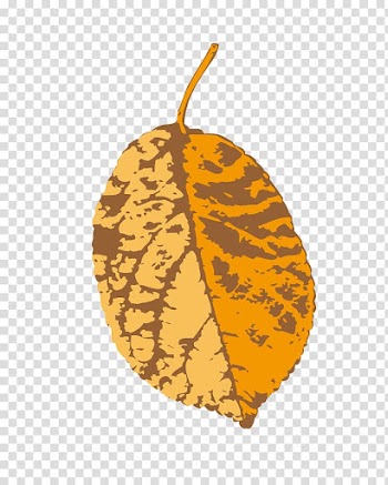Leaf Yellow Illustration, leaf transparent background PNG clipart