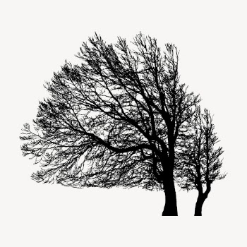 Leafless beech tree silhouette collage | Free PSD - rawpixel