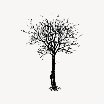 Leafless tree clipart, nature illustration | Free Vector Illustration - rawpixel