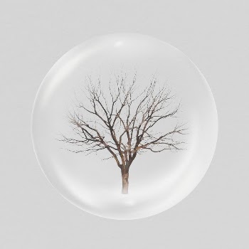 Leafless tree in bubble sticker, | Free PSD - rawpixel
