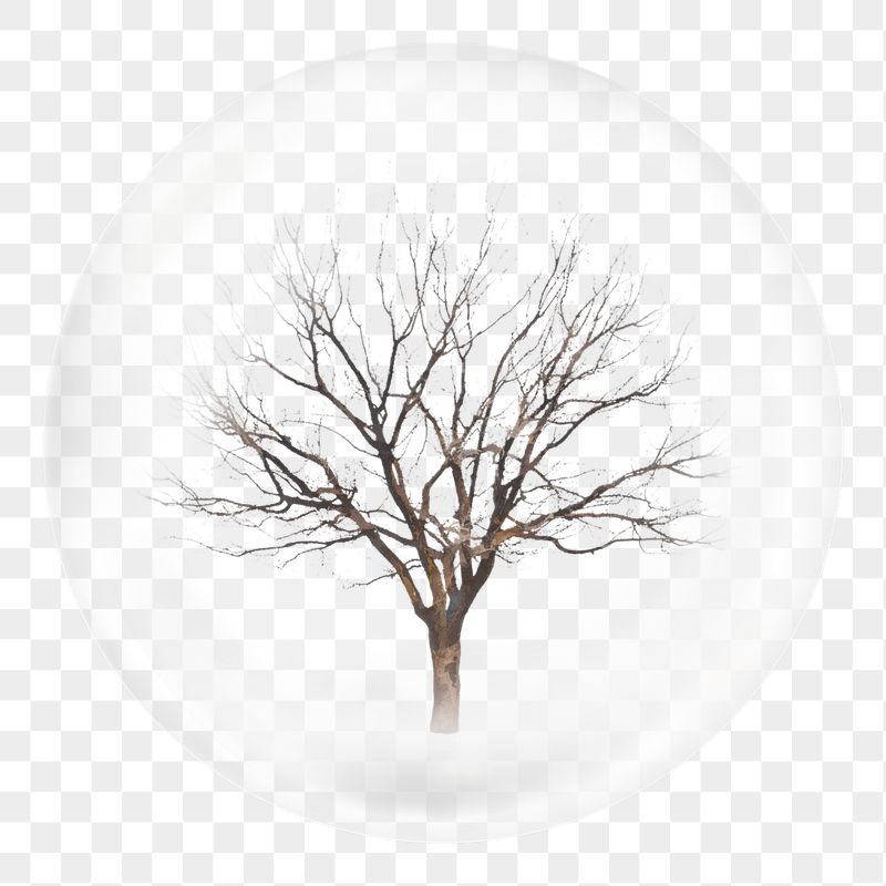 Leafless tree png bubble sticker, | Free PNG - rawpixel