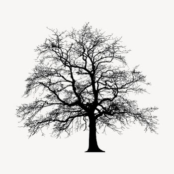 Leafless tree silhouette clipart, botanical | Free Photo - rawpixel
