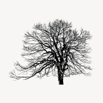 Leafless tree silhouette clipart, botanical | Free Photo - rawpixel