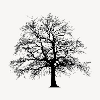 Leafless tree silhouette clipart, botanical | Free Vector - rawpixel