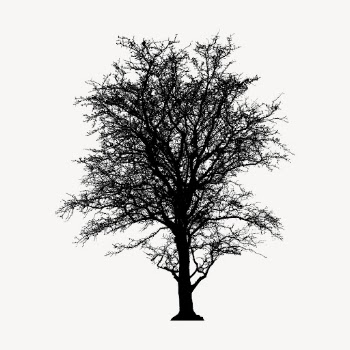 Leafless tree silhouette clipart, nature | Free Photo - rawpixel