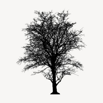 Leafless tree silhouette clipart, nature | Free Vector - rawpixel